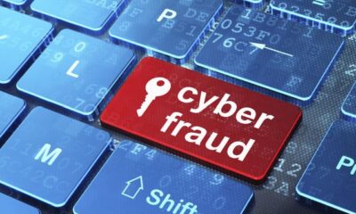 cyber fraud