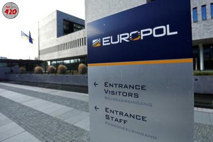 More Than $8.46 Trillion, 10% Of Global GDP, Held In Offshore Accounts: Europol