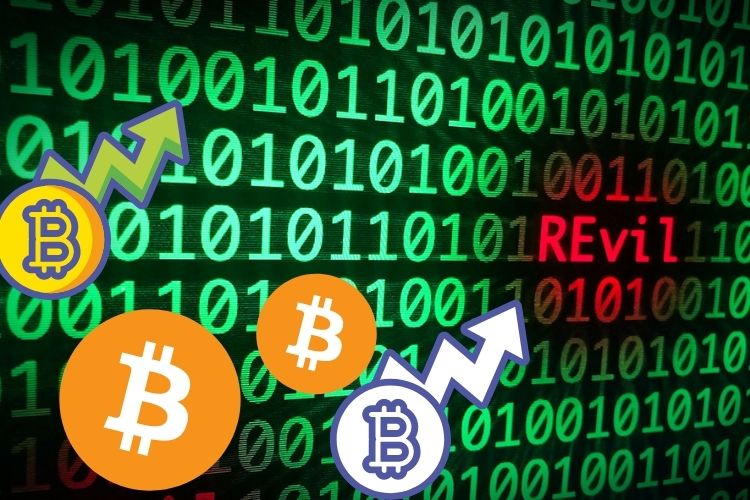 REvil Members Under Scanner: FBI Confiscates Bitcoin Worth Rs 17 Cr From Russian Hacker Involved in Ransomware