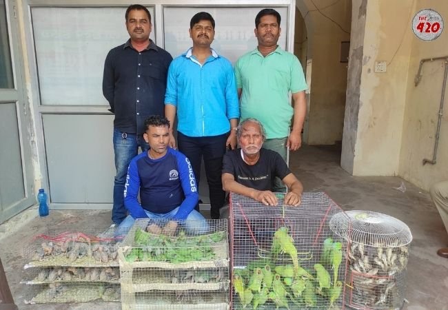 UP STF Rescues Birds Of Endangered Species; 2 Arrested