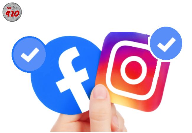 Instagramऔर Facebook अकाउंट वेरीफिकेशन में ये गलतियां करेंगे तो होगा भारी नुकसान, तो जानिए क्या करें आप