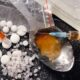 Darknet Drug Dominance Dismantled: NCB Busts 2 International Cartels, Seizes Record LSD Cache