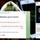 Hacktivist Mayhem: India's G20 Summit Faces Cyber Threats